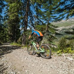 VTT