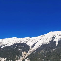 Vue du balcon